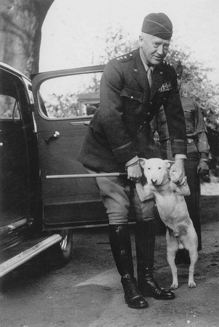 General Patton with his beloved dog Willie