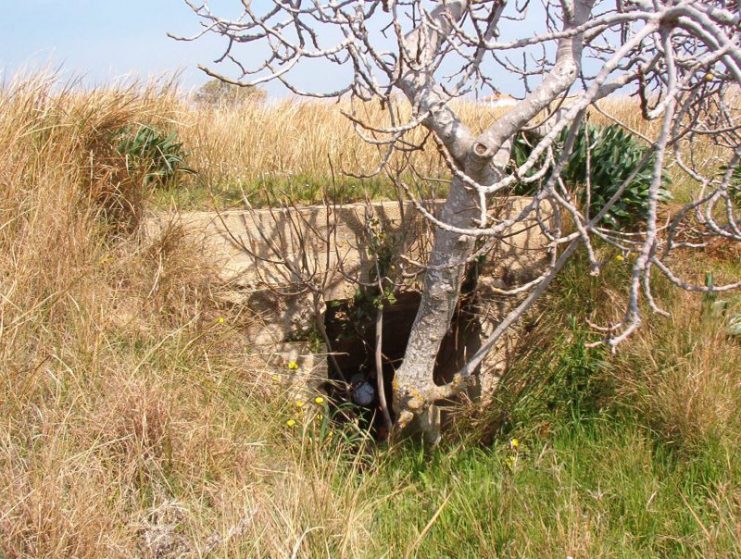 German emplacements at Cape Mounda, south of the island