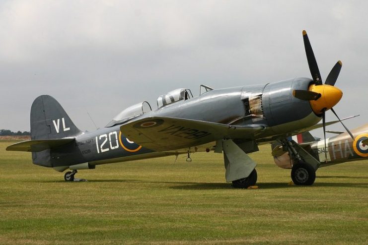 Hawker Sea Fury T20. Photo: Alan Wilson / CC BY-SA 2.0