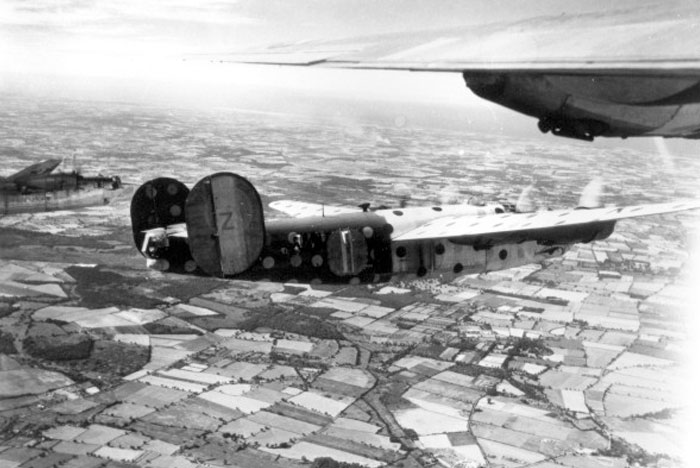 Liberator Spotted Ass Ape leads her group over the English countryside.