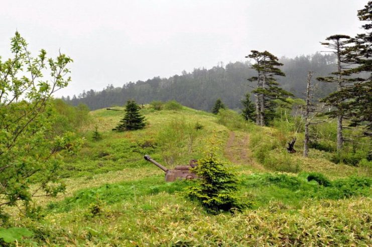 Remnants of once well-guarded hills, with their guns pointed towards shores. Photo: Photo: Yury Maksimov