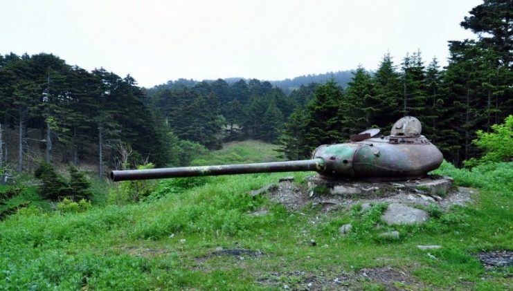 Armed with D-10 tank gun. It was originally equipped with SU-100 TD. Photo: Yury Maksimov