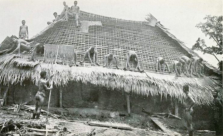 Traditional Igbo house
