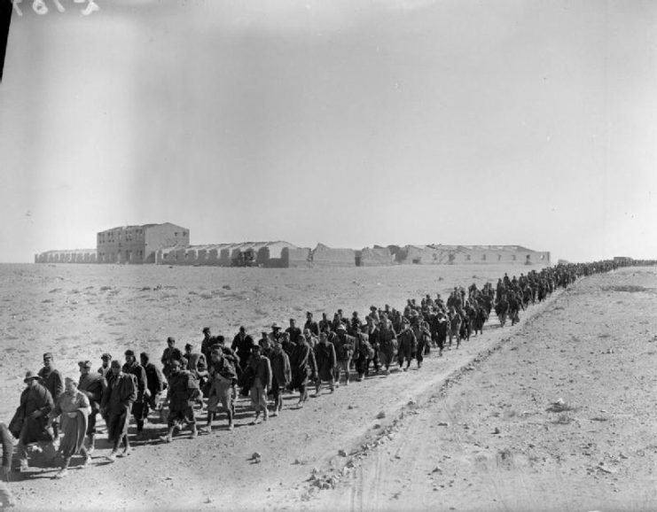 Italian Prisoners of War Following the Battle of Sidi Barrani.
