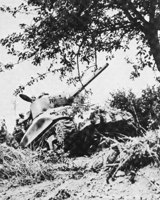 Sherman “Rhino” in Normandy 1944.