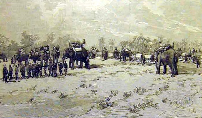 Siamese Elephant-mounted artillery in Laos in 1893.