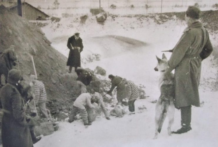 POW working. Photo taken from a Museum near Minsk by Ruslan Budnik.