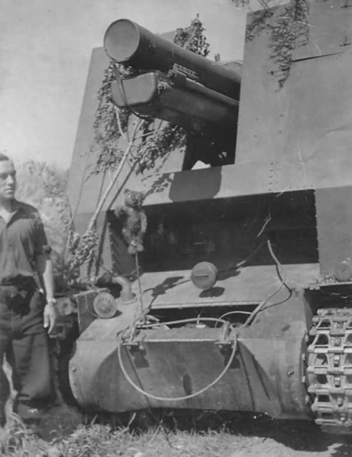 Sturmpanzer I Bison self-propelled artillery