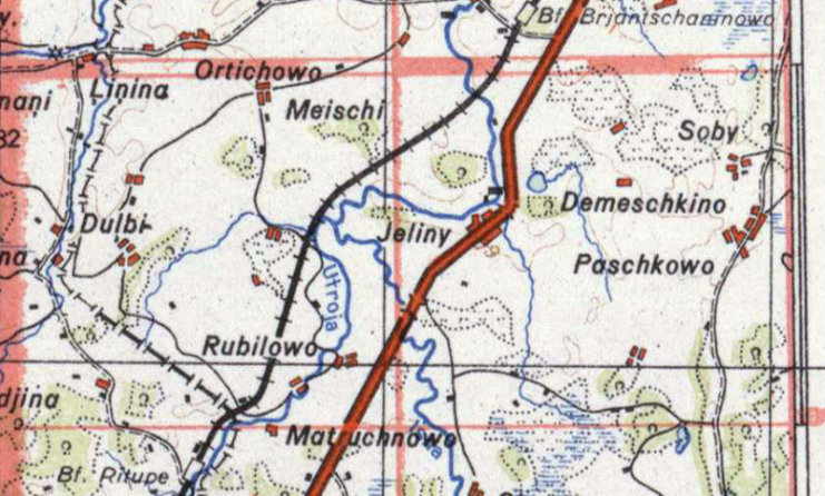 German Military Map of the Area in 1943. Note the highway and railway to the west and the swamps east of the highway. Demeschkino (Demeshkovo in Russian accounts)