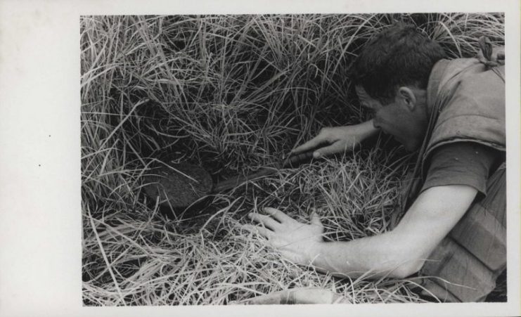 Sergeant T. M. Green (North Highlands, California) checks out a suspected Viet Cong booby-trap during Operation Bold Mariner. Elements of the 26th Marines are participating in the operation in the Batangan Peninsula, in Quang Ngai province, Vietnam, to rout out the Viet Cong who have been terrorizing the area. Photo: USMC.