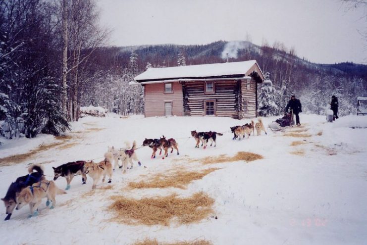 A dogsled team in the Yukon Quest leaving Slaven’s Roadhouse, Yukon-Charley Rivers National Preserve, Alaska, USA