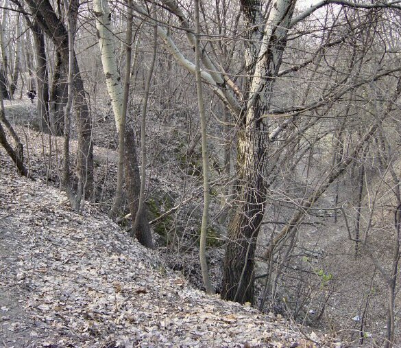 Babi Yar ravine near Kiev. Photo: Markv / CC-BY-SA 3.0