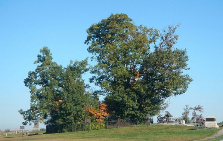 Copse of trees and ‘high-water mark of the Confederacy’ on the Gettysburg Battlefield; looking north.