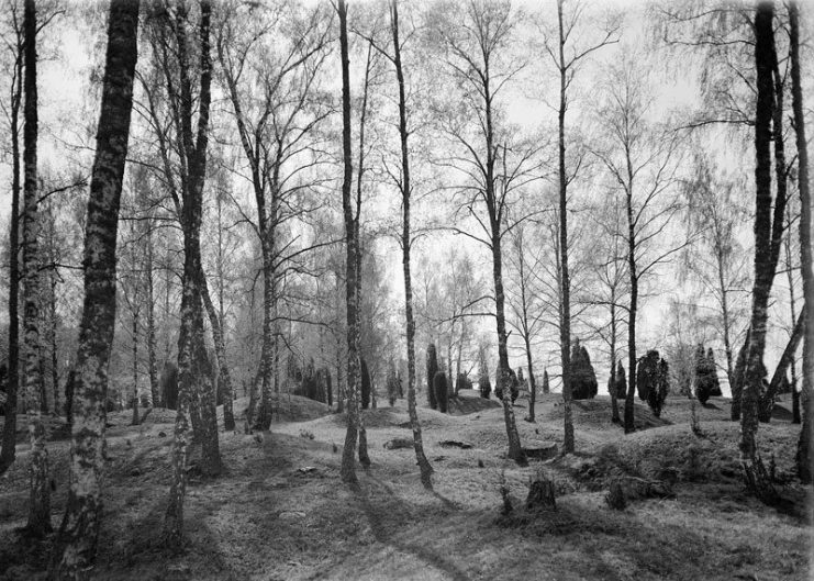 Viking Age grave field at the Birka archaeological site on Björkö island in Lake Mälaren, Sweden.