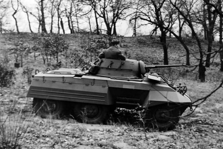 M8 Greyhound Armored Car in field trials.