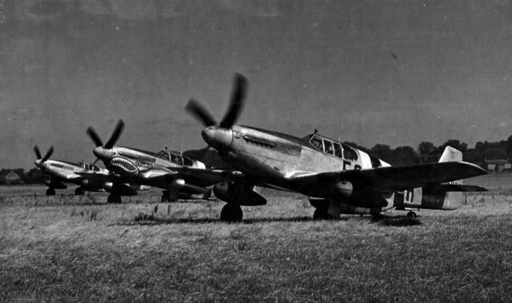 P-51B And C Mustangs of the 361st Fighter Group with D-Day stripes