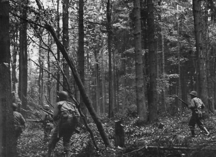 US Infantry Advancing in the Hurtgen Forest – 1944.