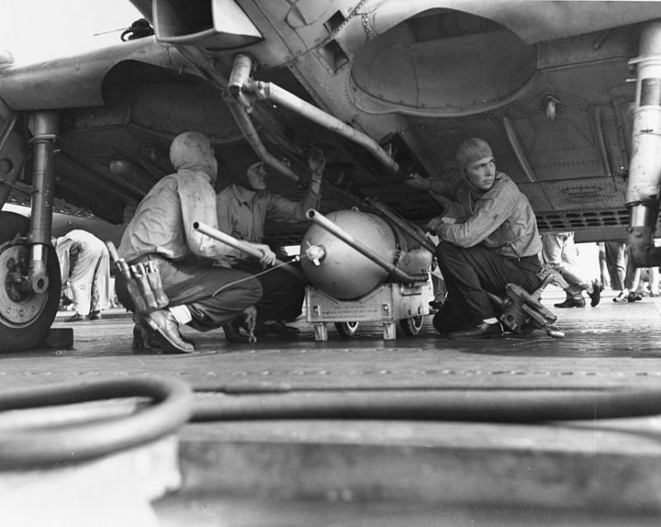 U.S. Navy ordnancemen of Scouting Squadron 6 (VS-6) load a 500 pound (227 kg) demolition bomb on a Douglas SBD-3 Dauntless on the flight deck of the aircraft carrier USS Enterprise (CV-6), during the first day of strikes on Guadalcanal.