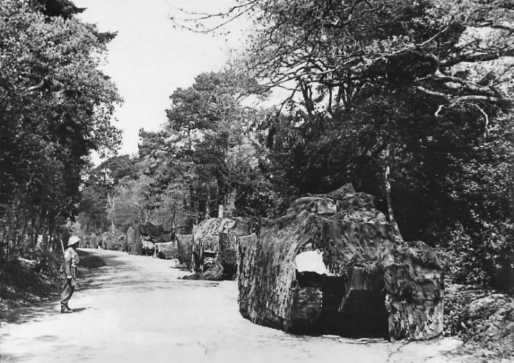 A camouflaged row of M7s stands on a country road.