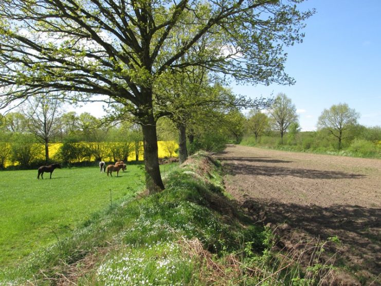 Eastern Wall (East Volden Osterwall) near Kochendorf.Photo Oster CC BY-SA 3.0