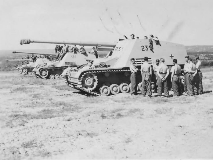 German Nashorn SPGs near Anzio – 1944