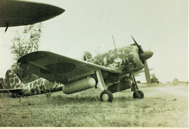 Japanese Nakajima Ki-43 Hayabusa (隼 Peregrine Falcon), designated as an Army Type 1 Fighter, and referred to by Allied forces as “Oscar”.