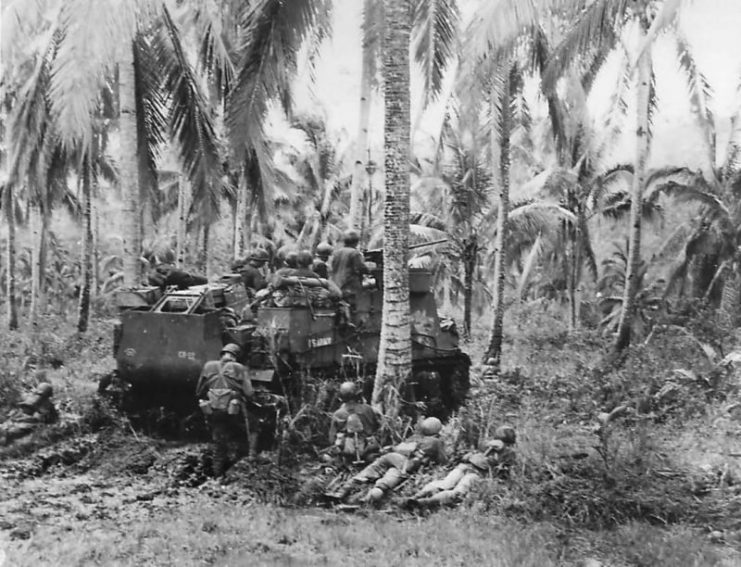 M7 Priest and US infantrymen advancing on Catman Hill on Leyte