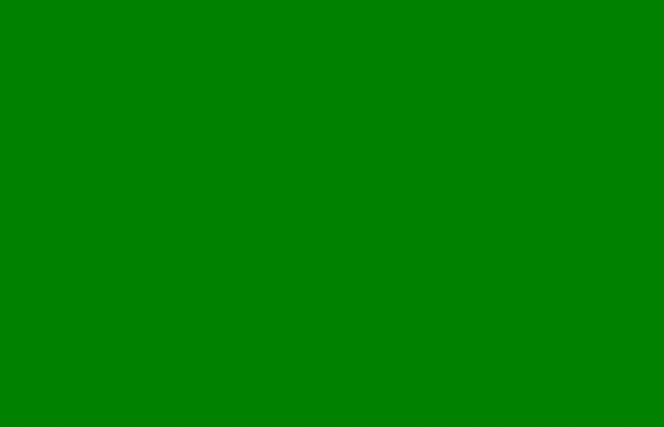 Solid green flag of the expedition which represented the Irish heritage of co-leader Augustus Magee. Simple but easy to recognize.