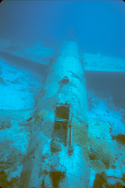 Mistsubishi G4M1 (“Betty”) bomber wreck in Truk Lagoon, Micronesia.