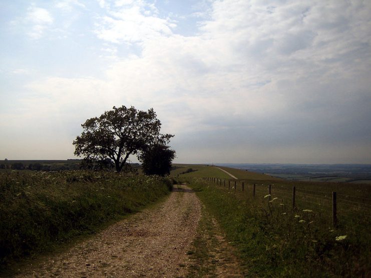 On Walbury Hill, a typical Salisbury Plain landscape.Photo: Joolz CC BY-SA 2.5