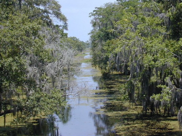Part of the Barataria Preserve in Jean Lafitte National Historical Park and Preserve.Photo Jan Kronsell CC BY-SA 3.0
