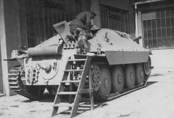 Rear view of a Hetzer