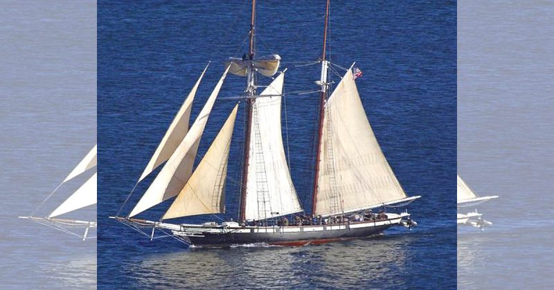 Replica of a Baltimore Clipper