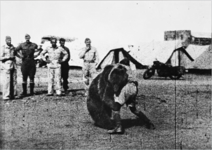 Troops of the Polish 22 Transport Artillery Company (Army Service Corps, 2nd Polish Corps) watch as one of their comrades play wrestles with Wojtek (Voytek) their mascot bear during their service in the Middle East.