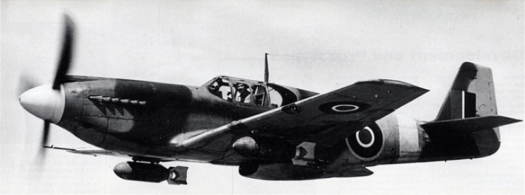 Sole RAF A-36A on demonstration flight showing 500 lb bombs.