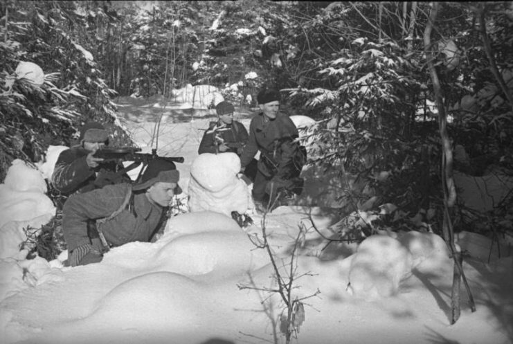 Soviet Partisans in the Second World War