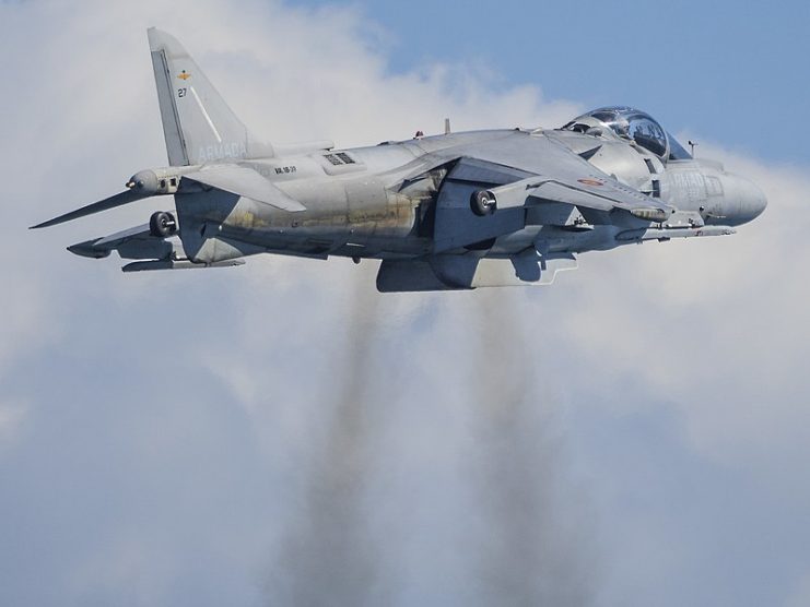 Spanish Harrier II – Javier Rodriguez CC BY-SA 2.0