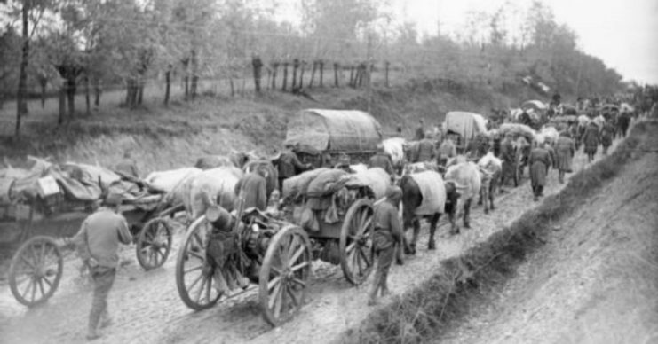 The retreat of the Serbian army at the end of October 1915 from Northern to Southern Serbia.