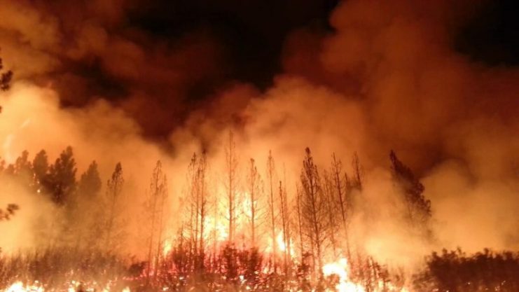 The Rim Fire burned more than 250,000 acres (1,000 km2) of forest near Yosemite National Park, in 2013