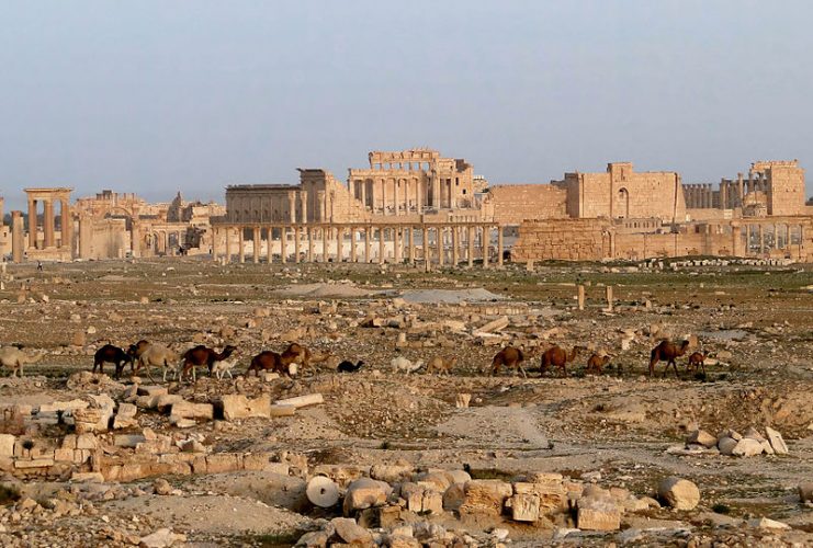 View of Palmyra with the Temple of Bel, Syria.Photo Bernard Gagnon CC BY-SA 3.0