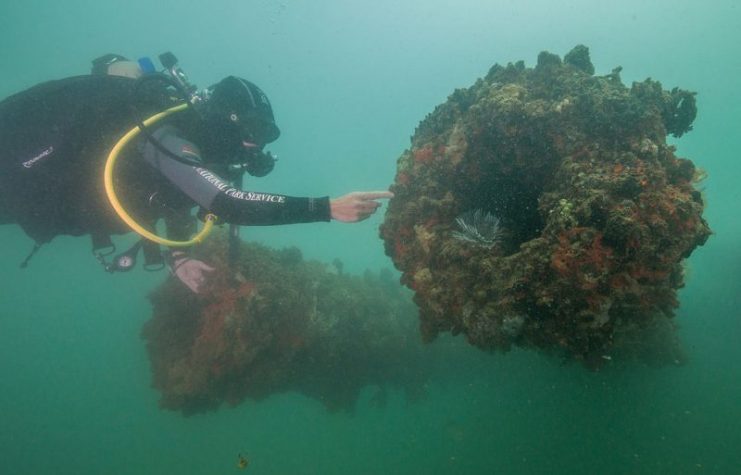 An NPS diver with the forward guns on the No. 1 Turret of the submerged USS Arizona (BB-39)