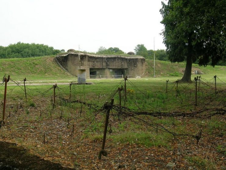 View of the entrance and the barbed wire network, Immerhof (Maginot line), Moselle, France. Photo: Lvcvlvs / CC-BY-SA 3.0