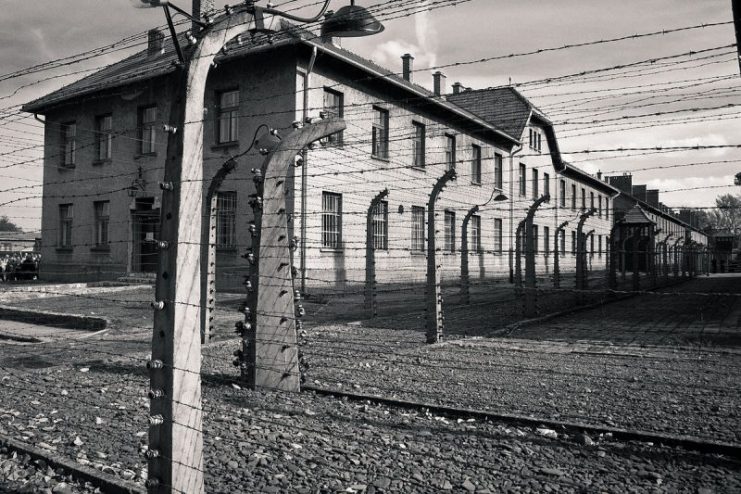Concentration camp – Auschwitz-Birkenau. Photo: PerSona77 – CC BY-SA 3.0 pl