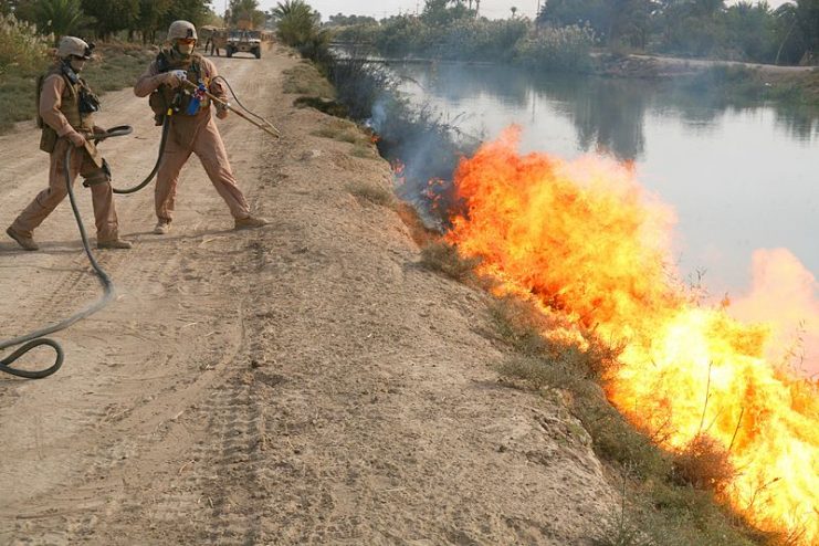 U.S. Marines burn brush along a canal to eliminate potential spots for insurgents to hide improvised explosive devices and ordnance in Saqlawiyah, Iraq, on Nov. 16, 2007.