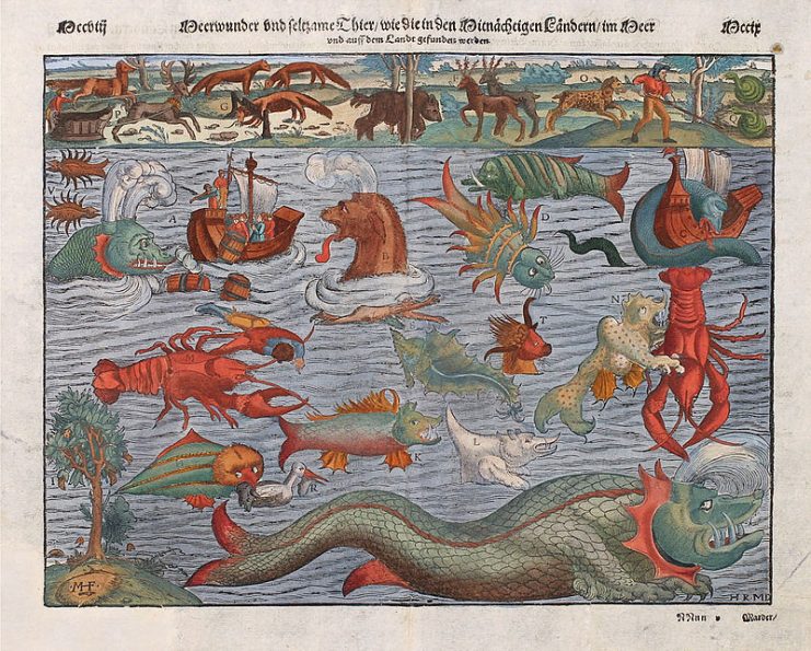Various sea monsters; compiled from the Carta marina.