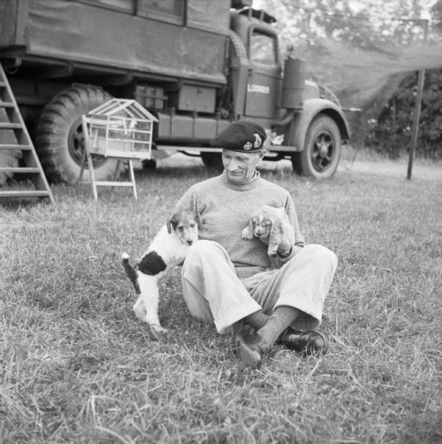 General Montgomery with his pets, the puppies ‘Hitler’ (left) and ‘Rommel’, and a cage of canaries which also travelled with him (France; date unknown).