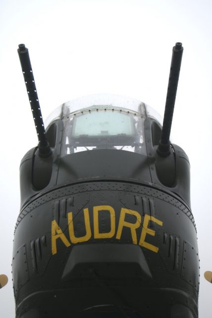 B24 Liberator Nose Gun in Fog