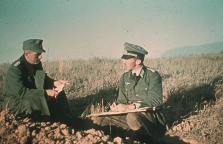 Feldgrau of the Wehrmacht (Stalingrad 1942). By Bundesarchiv Bild CC-BY-SA 3.0