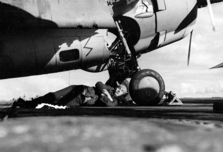 F4F aboard USS Ranger during Operation Torch