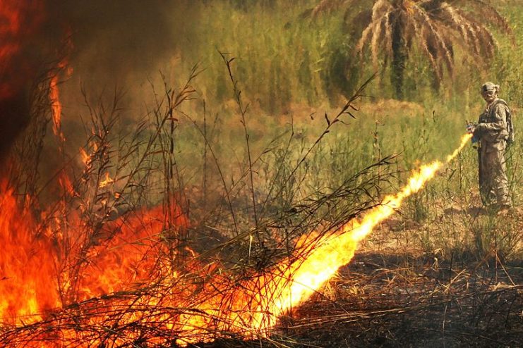 Use of a small flame thrower in Iraq to burn down any visible covers